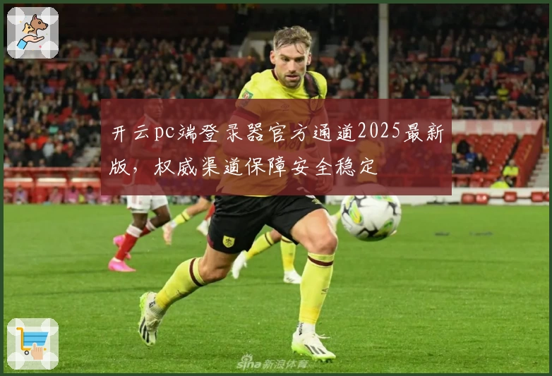 开云pc端登录器官方通道2025最新版，权威渠道保障安全稳定