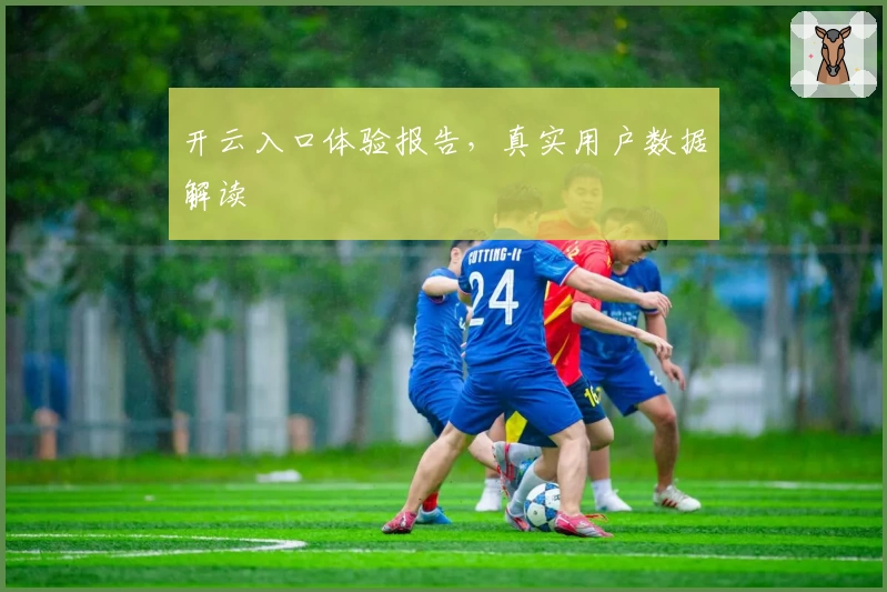 开云入口体验报告，真实用户数据解读