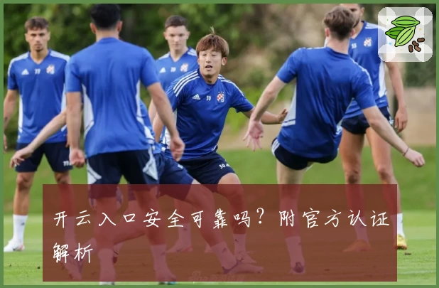 开云入口安全可靠吗？附官方认证解析